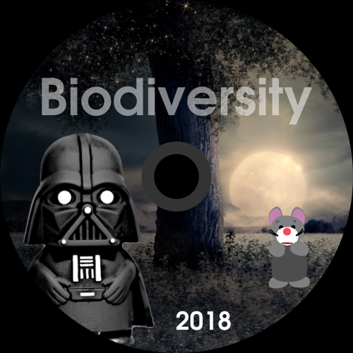 DVD 2018
